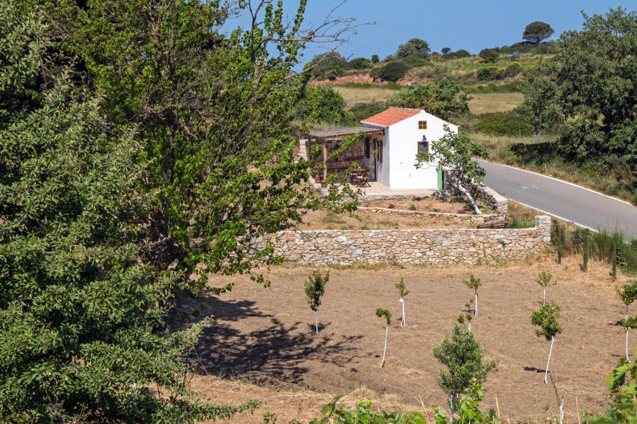 The Pigeon House Villa Potamos  Dış mekan fotoğraf