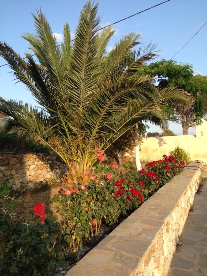 The Pigeon House Villa Potamos  Dış mekan fotoğraf