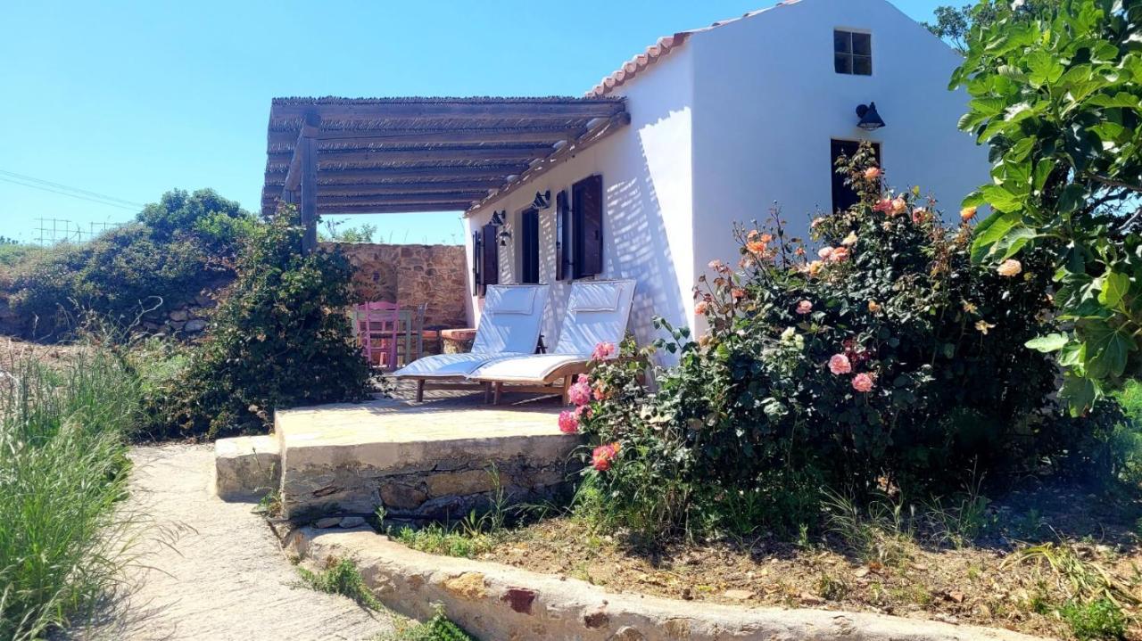 The Pigeon House Villa Potamos  Dış mekan fotoğraf