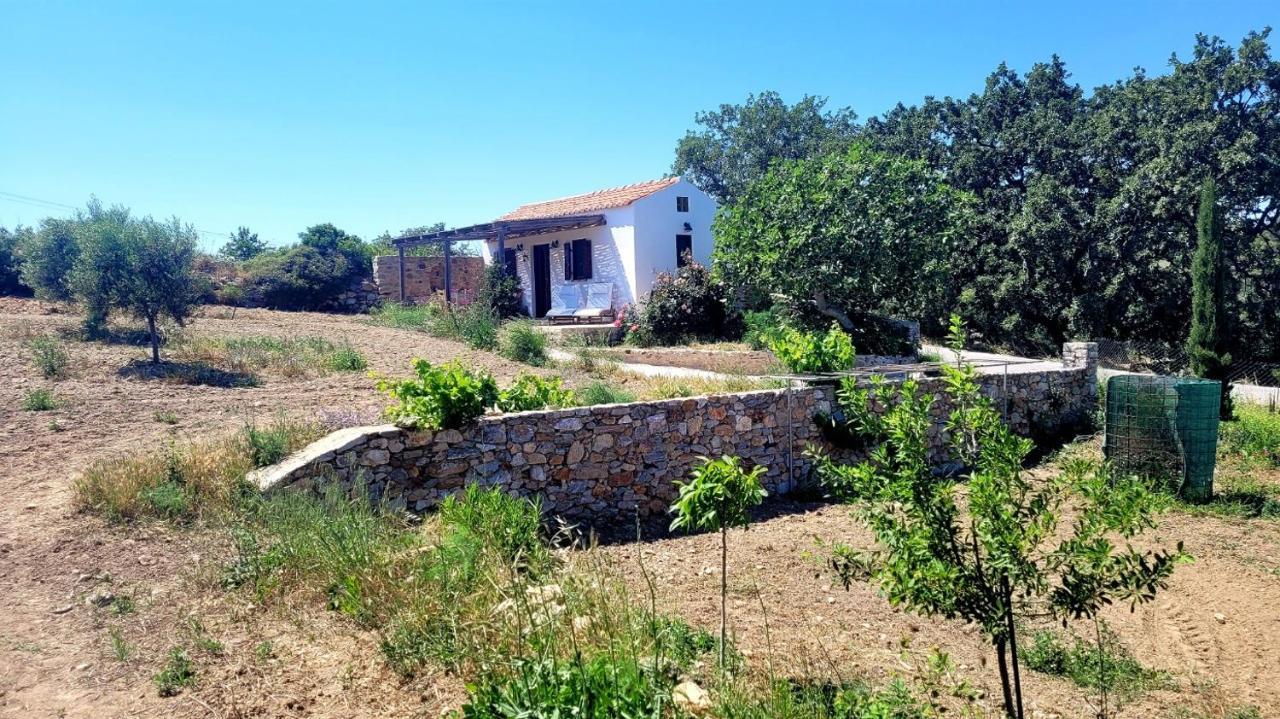 The Pigeon House Villa Potamos  Dış mekan fotoğraf